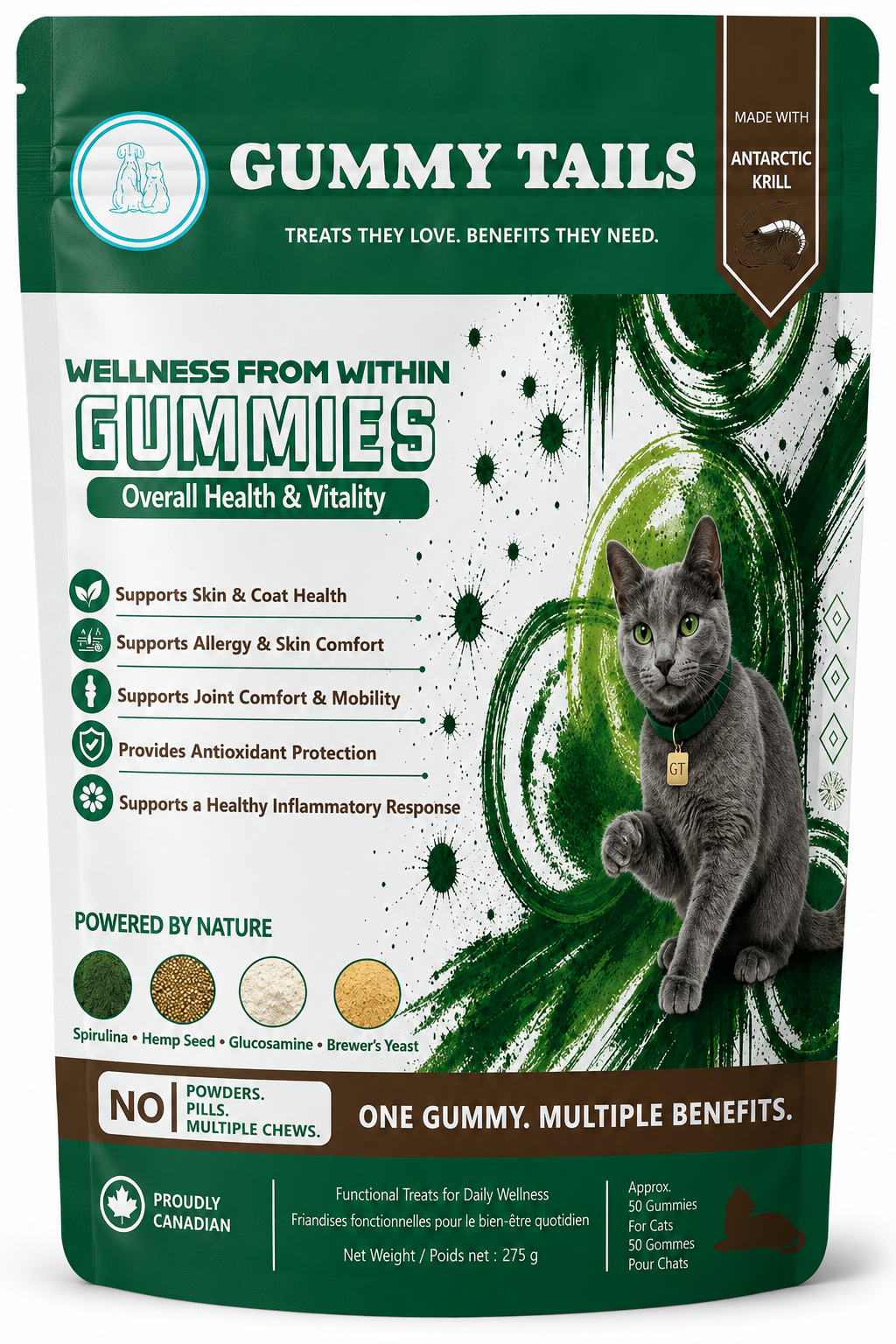 Wellness from Within for Cats