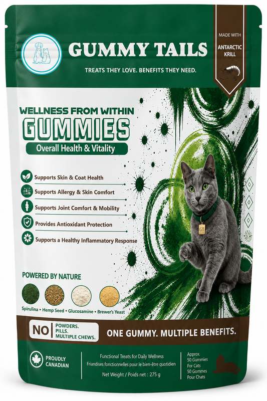 Wellness from Within for Cats