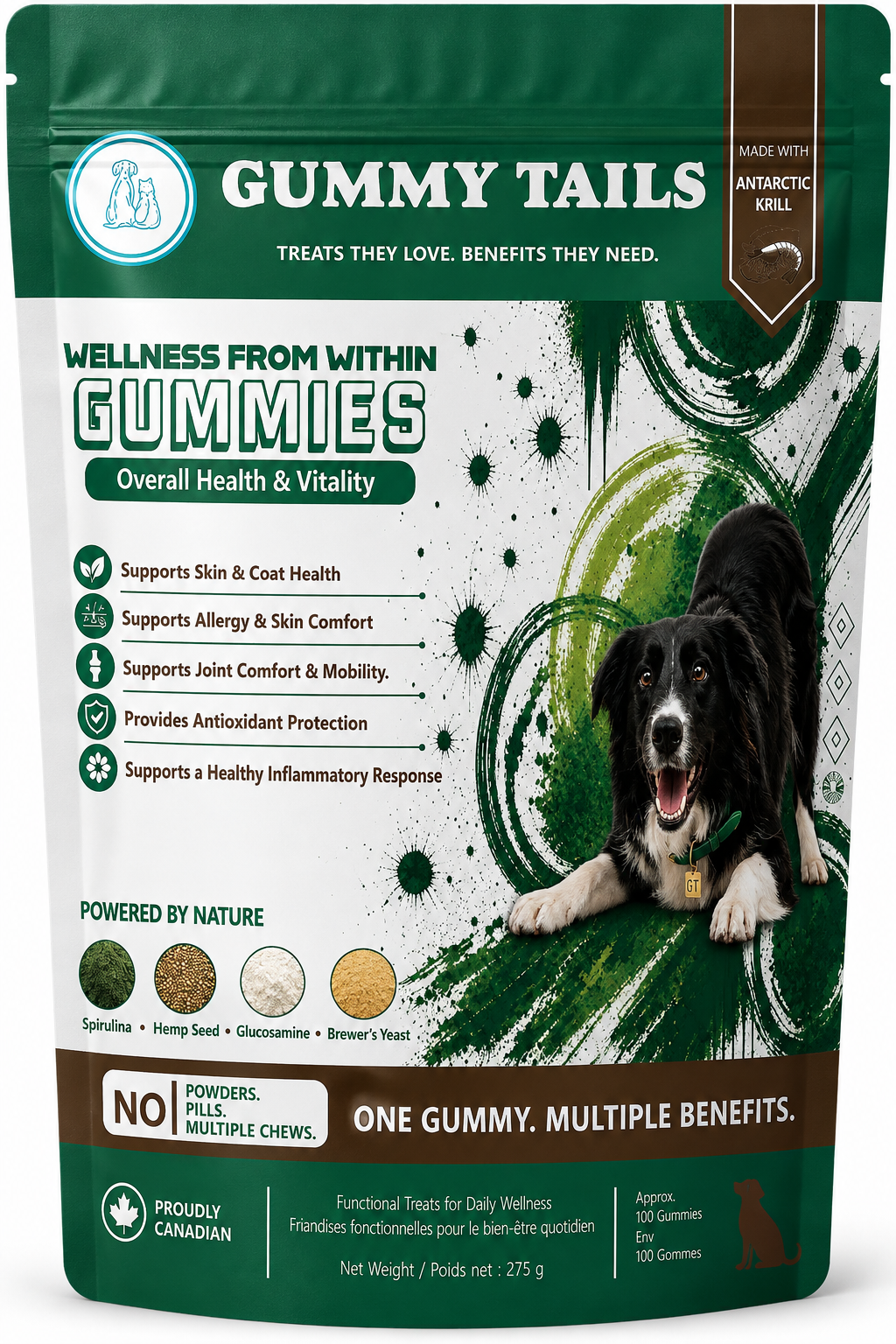Wellness from Within for Dogs
