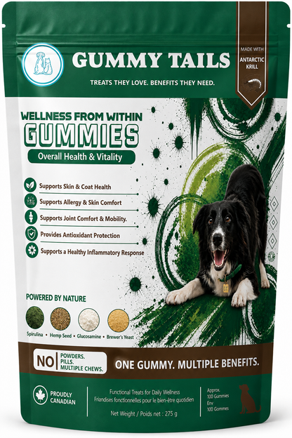 Wellness from Within for Dogs