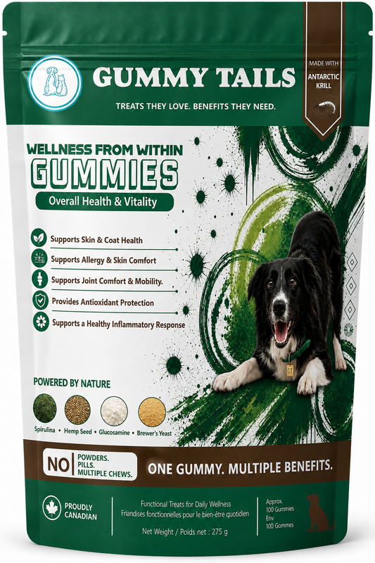 Wellness from Within for Dogs