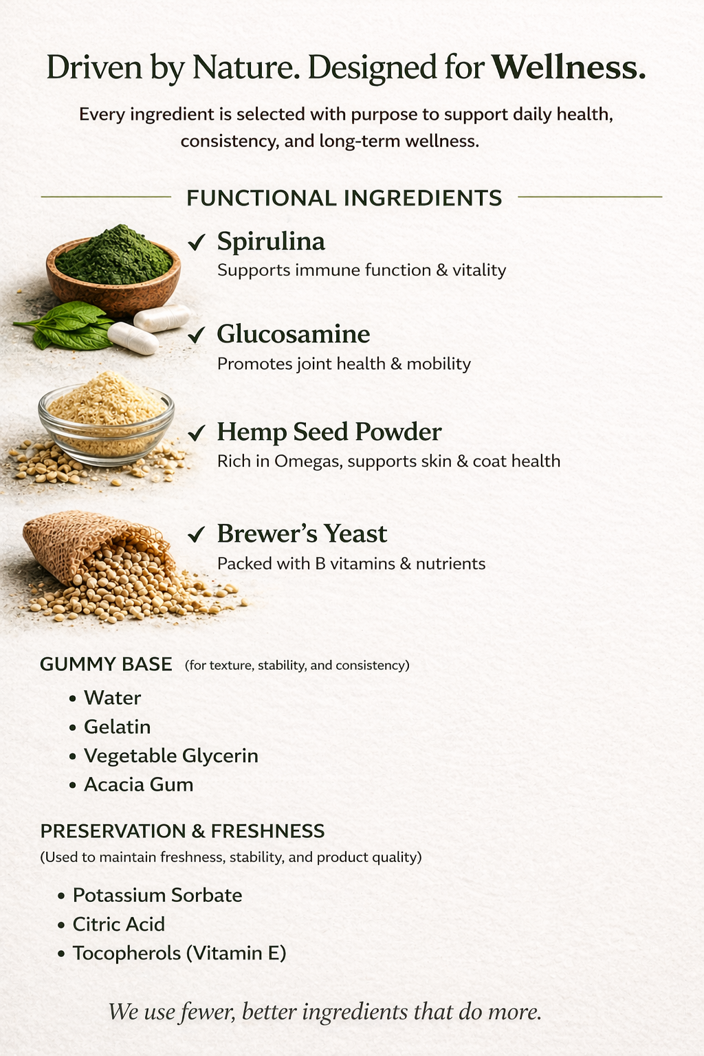 Wellness from Within for Cats