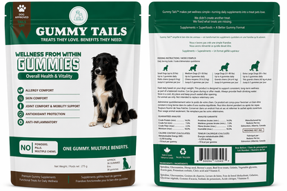 Wellness from Within for Dogs