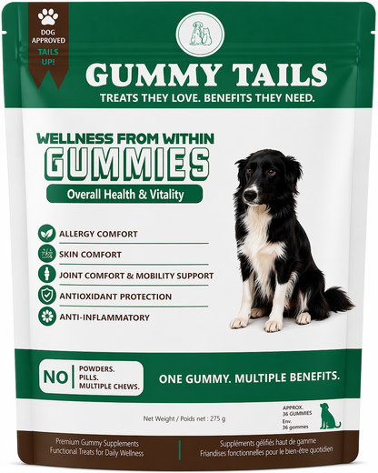 Wellness from Within for Dogs
