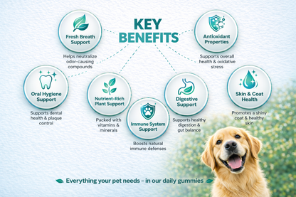 Oral Care Gummies for Dogs