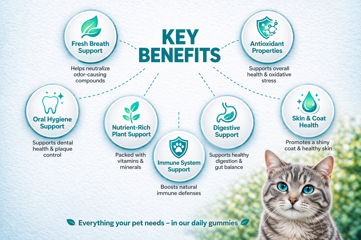 Oral Care Gummies for Cats