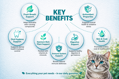 Oral Care Gummies for Cats