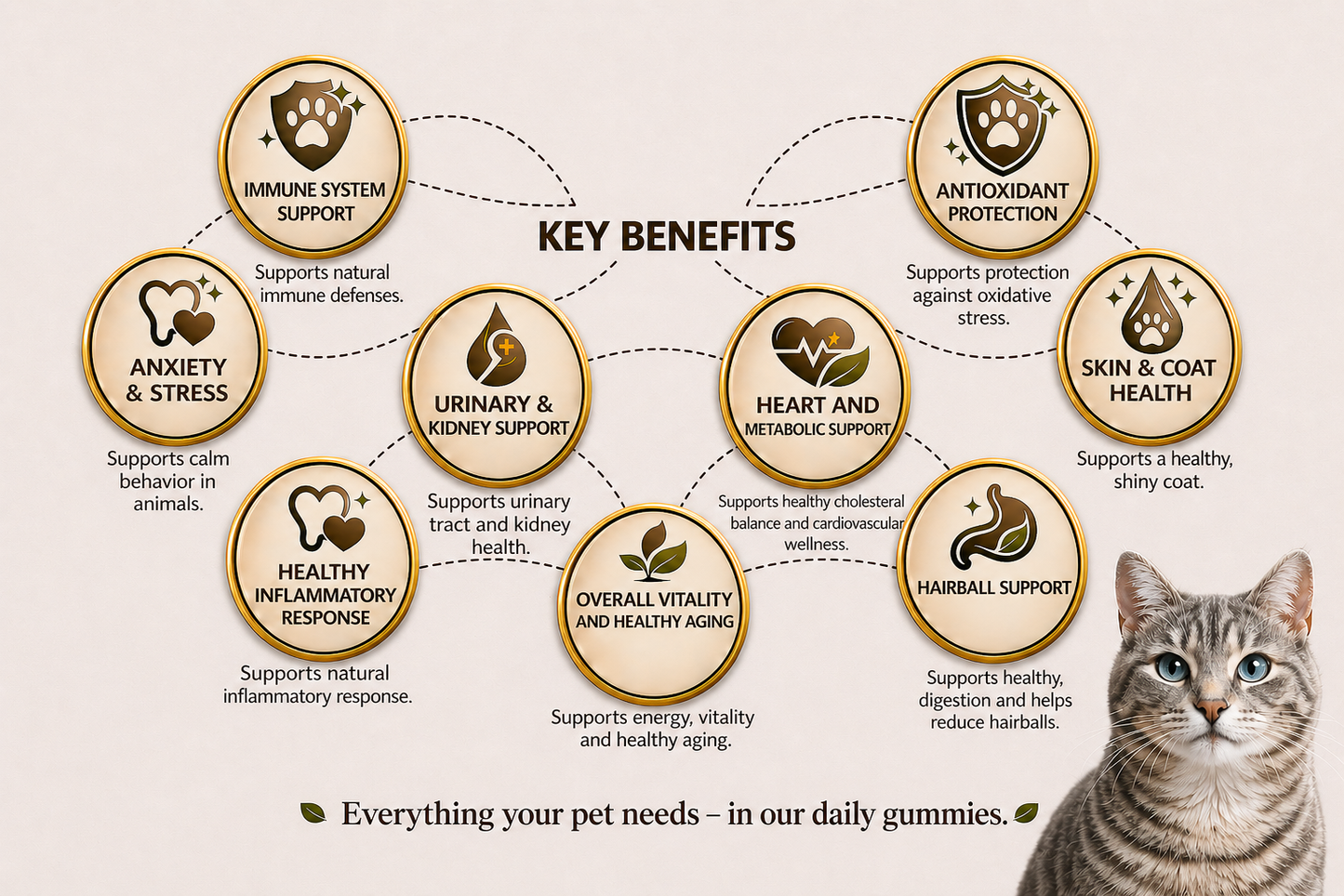 10-in-1 Multivitamin for Cats