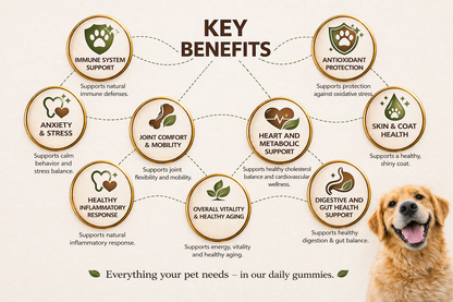 10-in-1 Multivitamin for Dogs